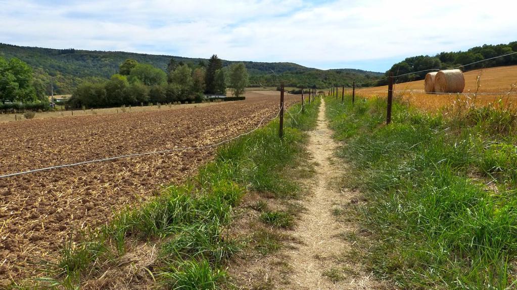 Gite D L'Ardoise Prive Fumay エクステリア 写真